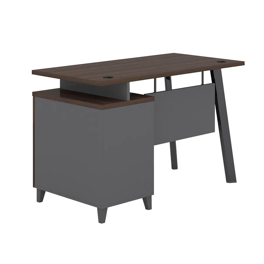 Alice Desk 120x60 cm with Storage