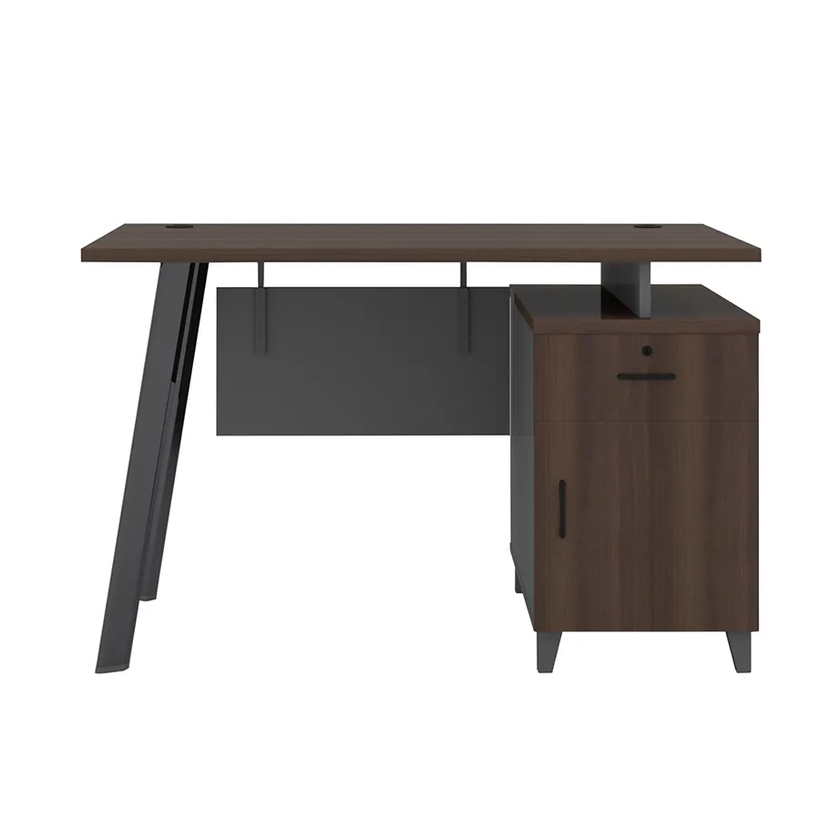 Alice Desk 120x60 cm with Storage