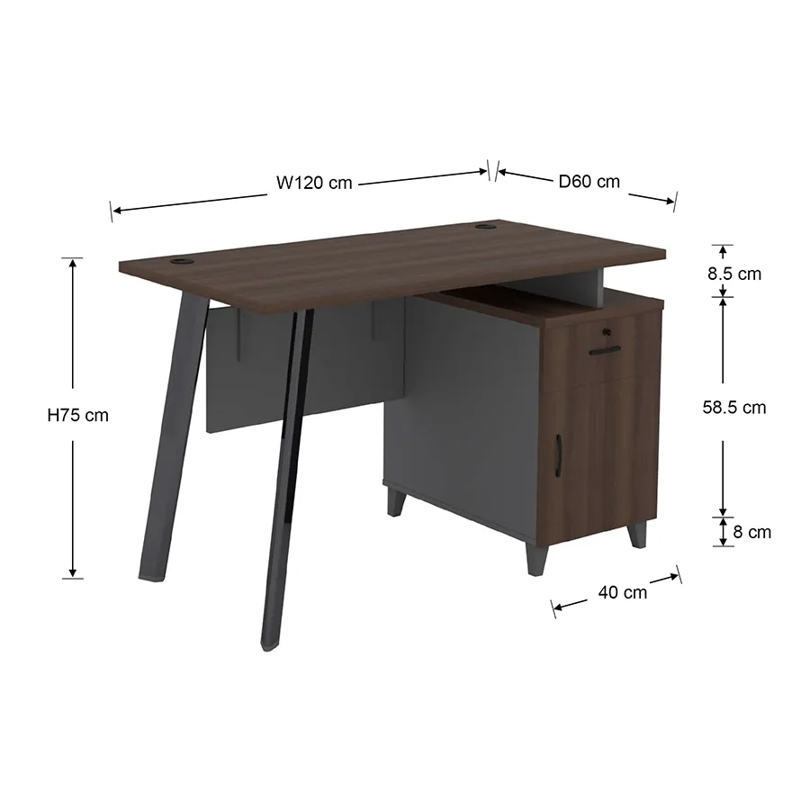 Alice Desk 120x60 cm with Storage