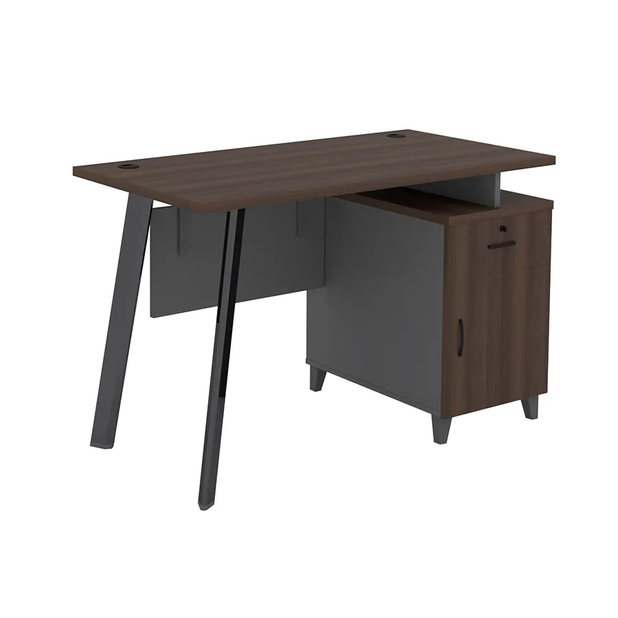 Alice Desk 120x60 cm with Storage