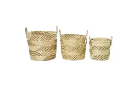 Beige Dried Plant Modern Storage Basket