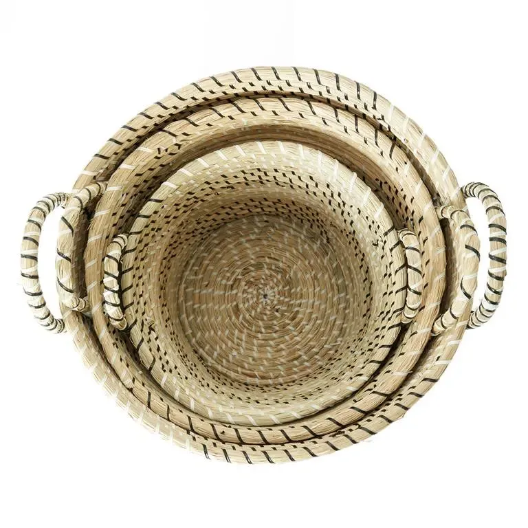 Beige Dried Plant Modern Storage Basket