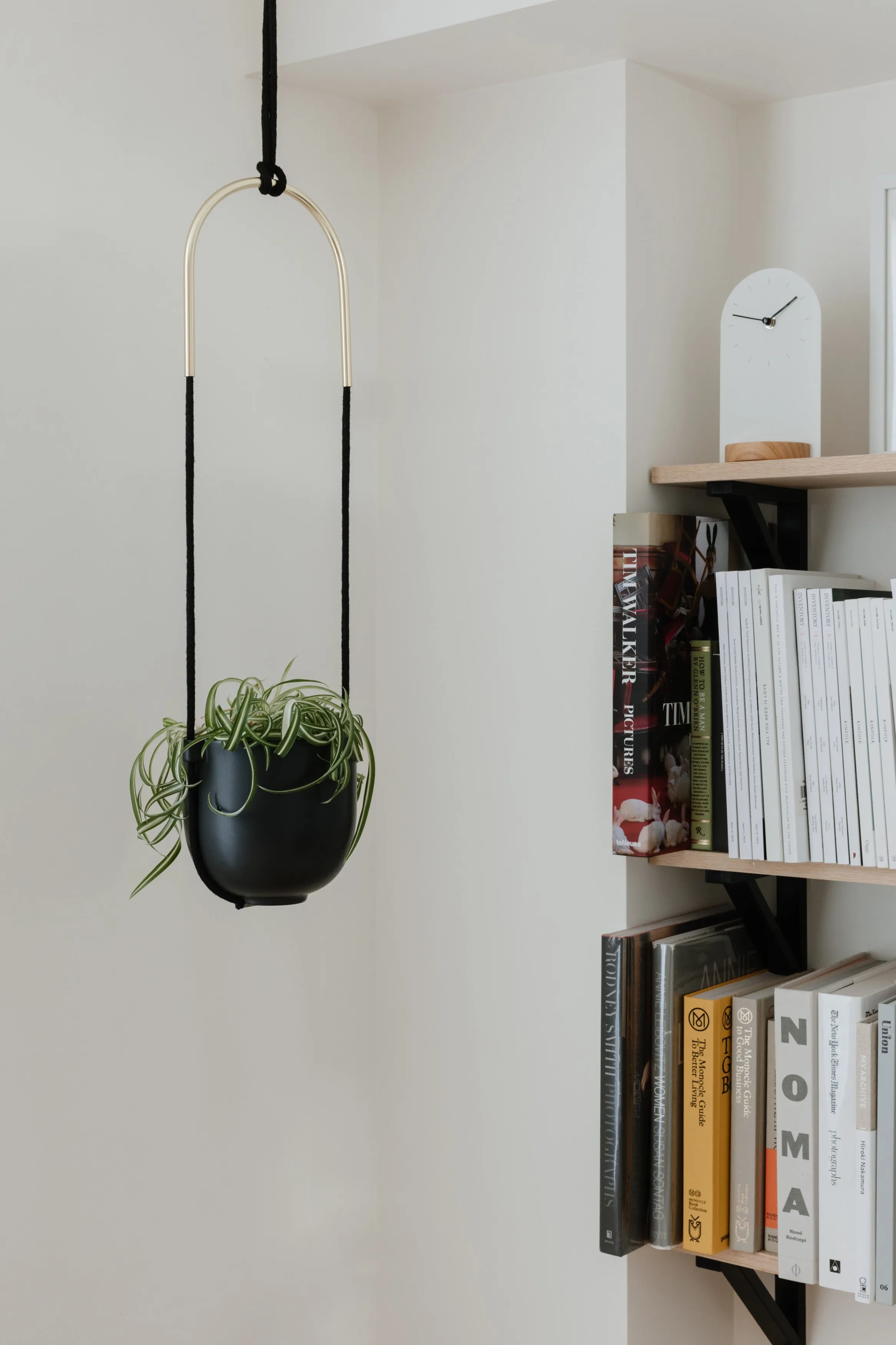 Bolo Hanging Planter