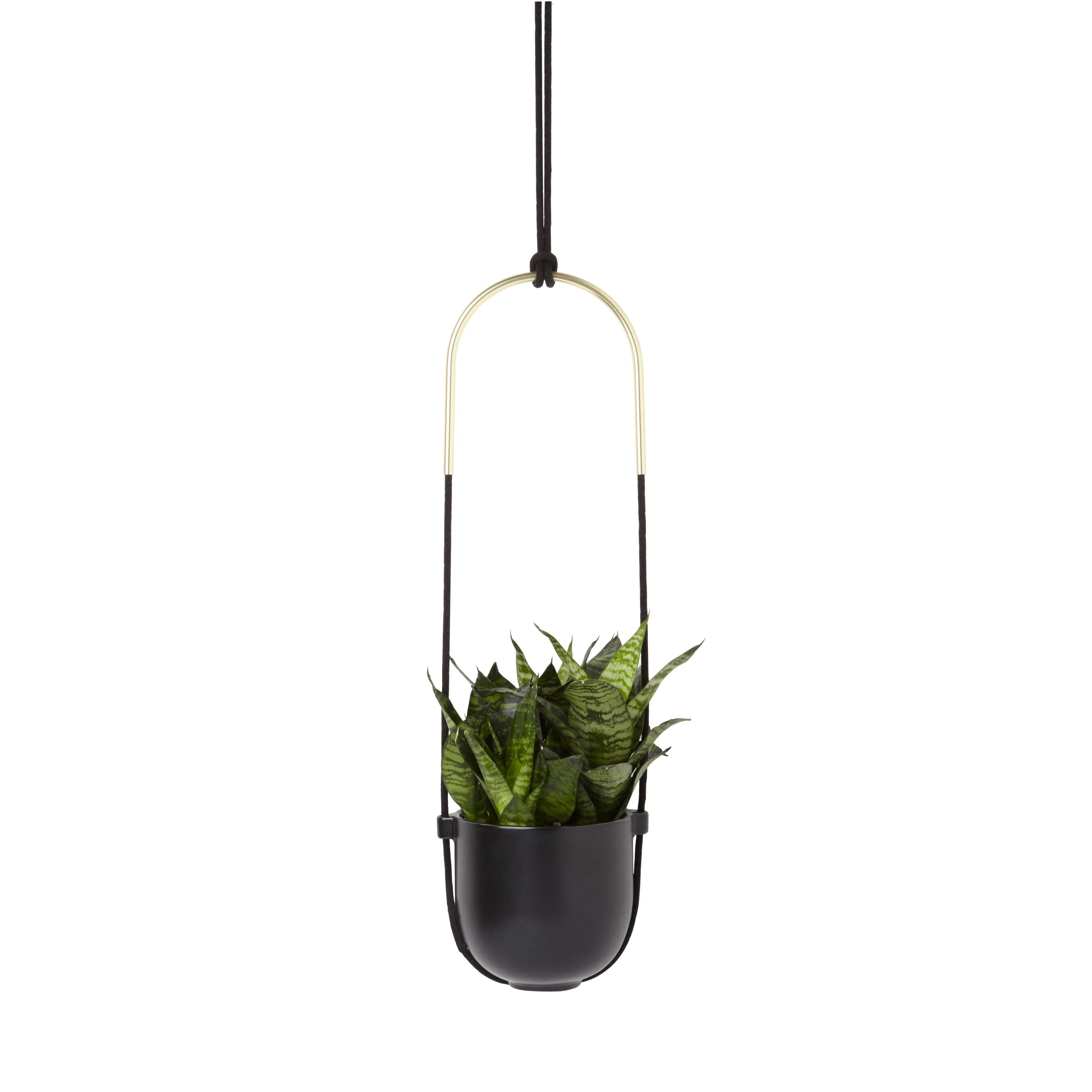 Bolo Hanging Planter