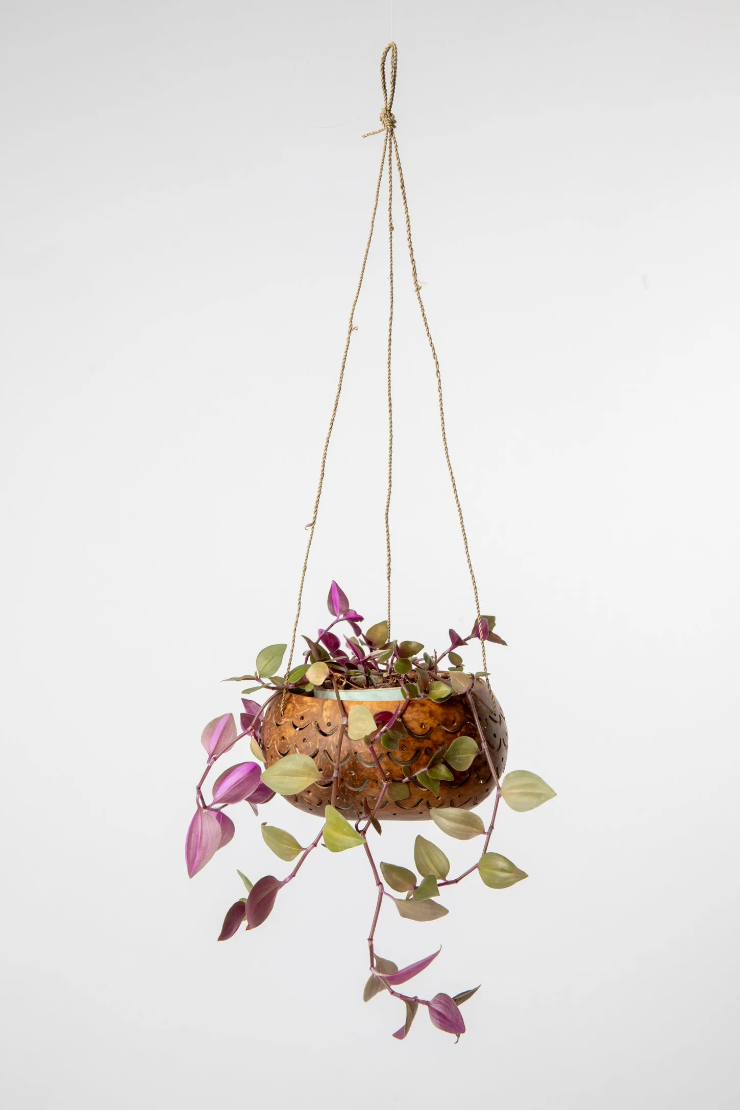 Carved Hanging Coconut Planter