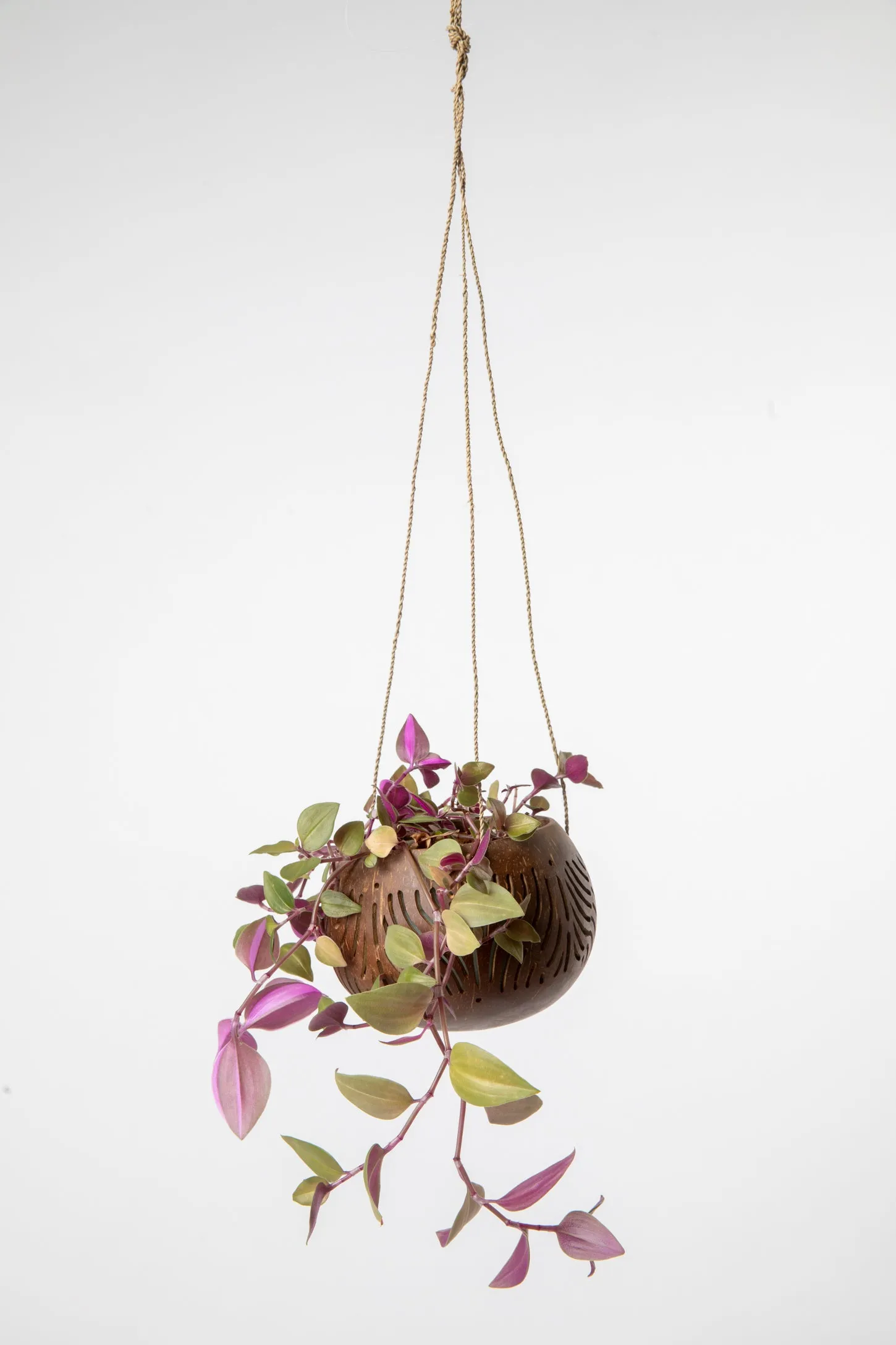 Carved Hanging Coconut Planter