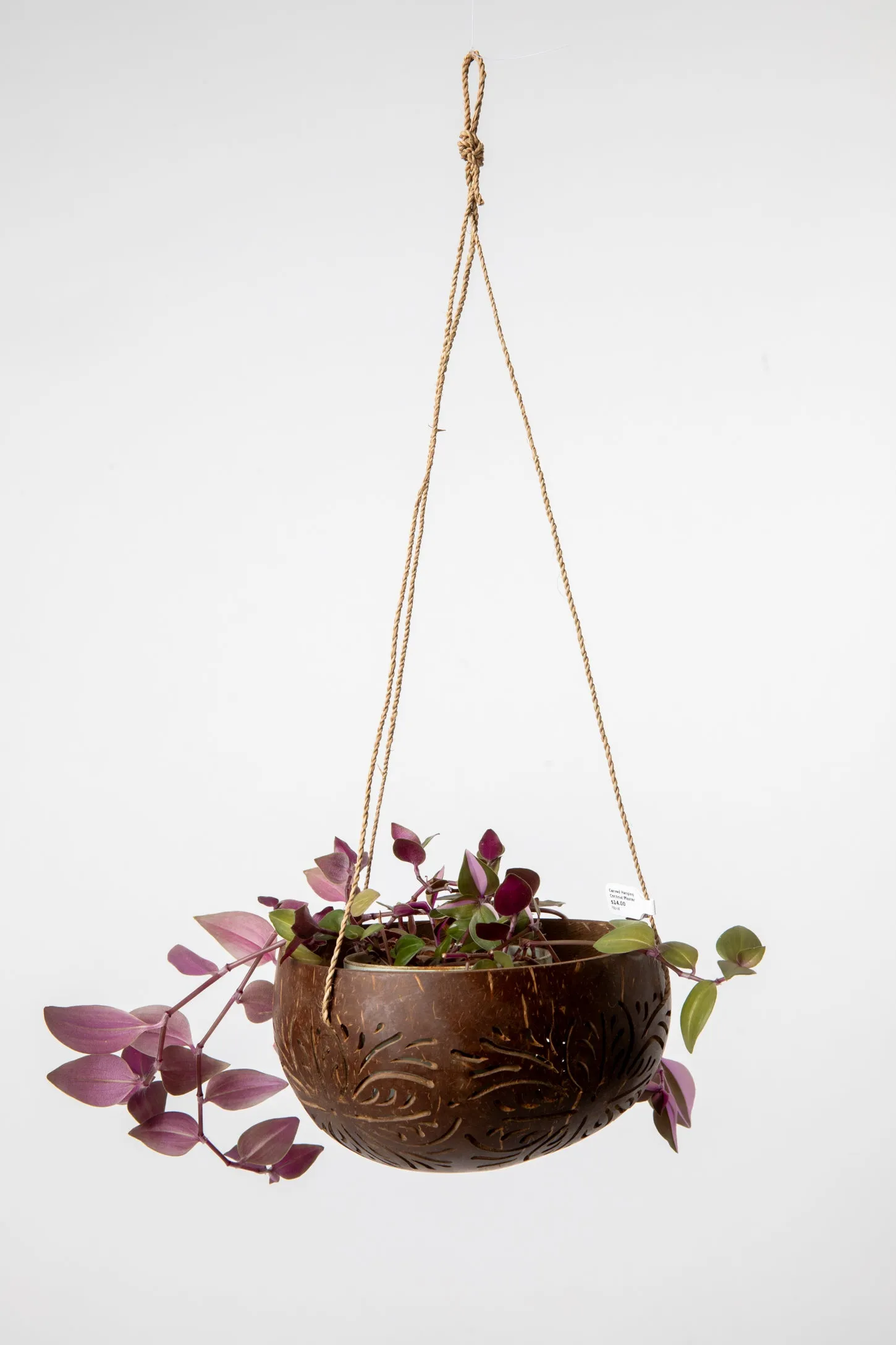 Carved Hanging Coconut Planter