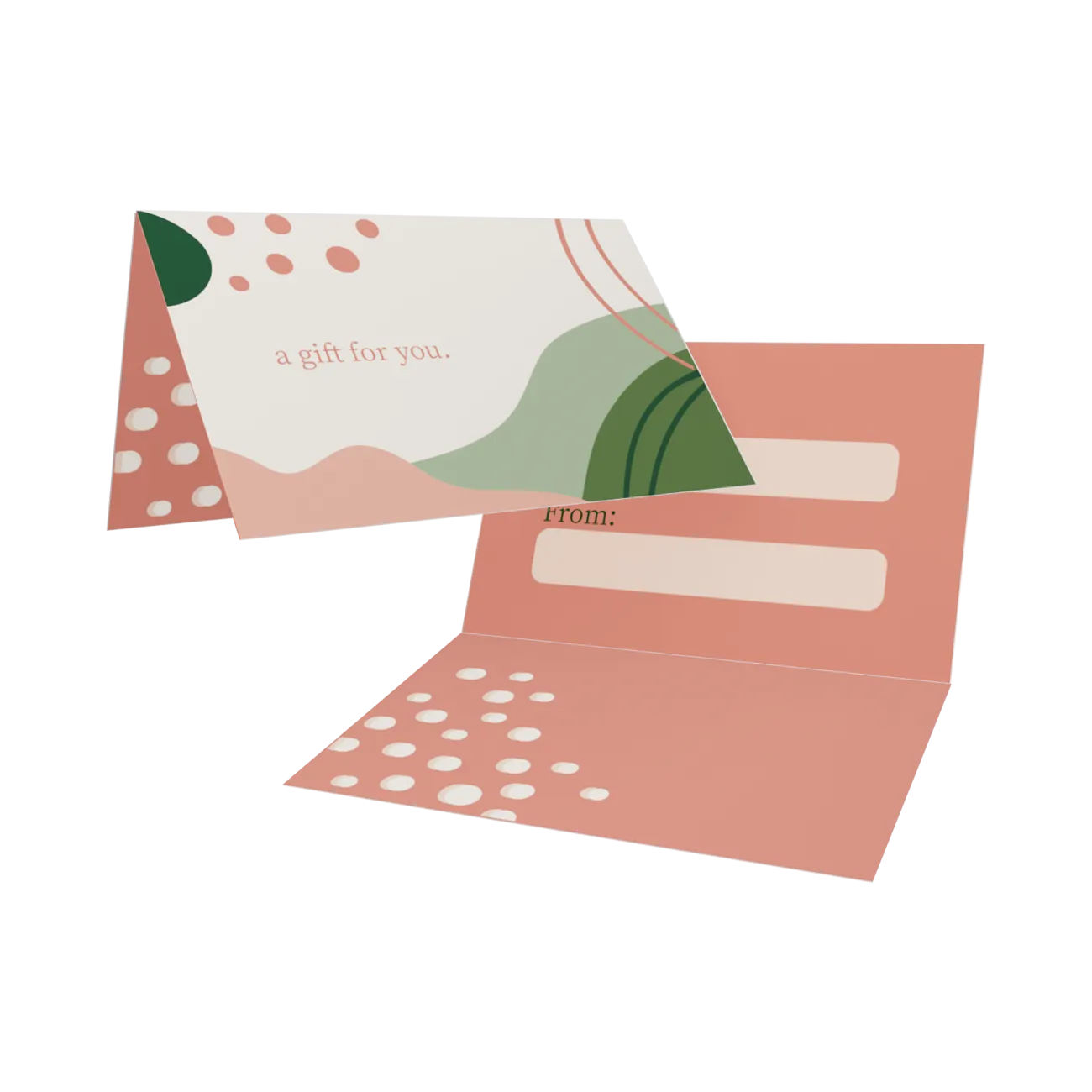 Gift Card Carriers