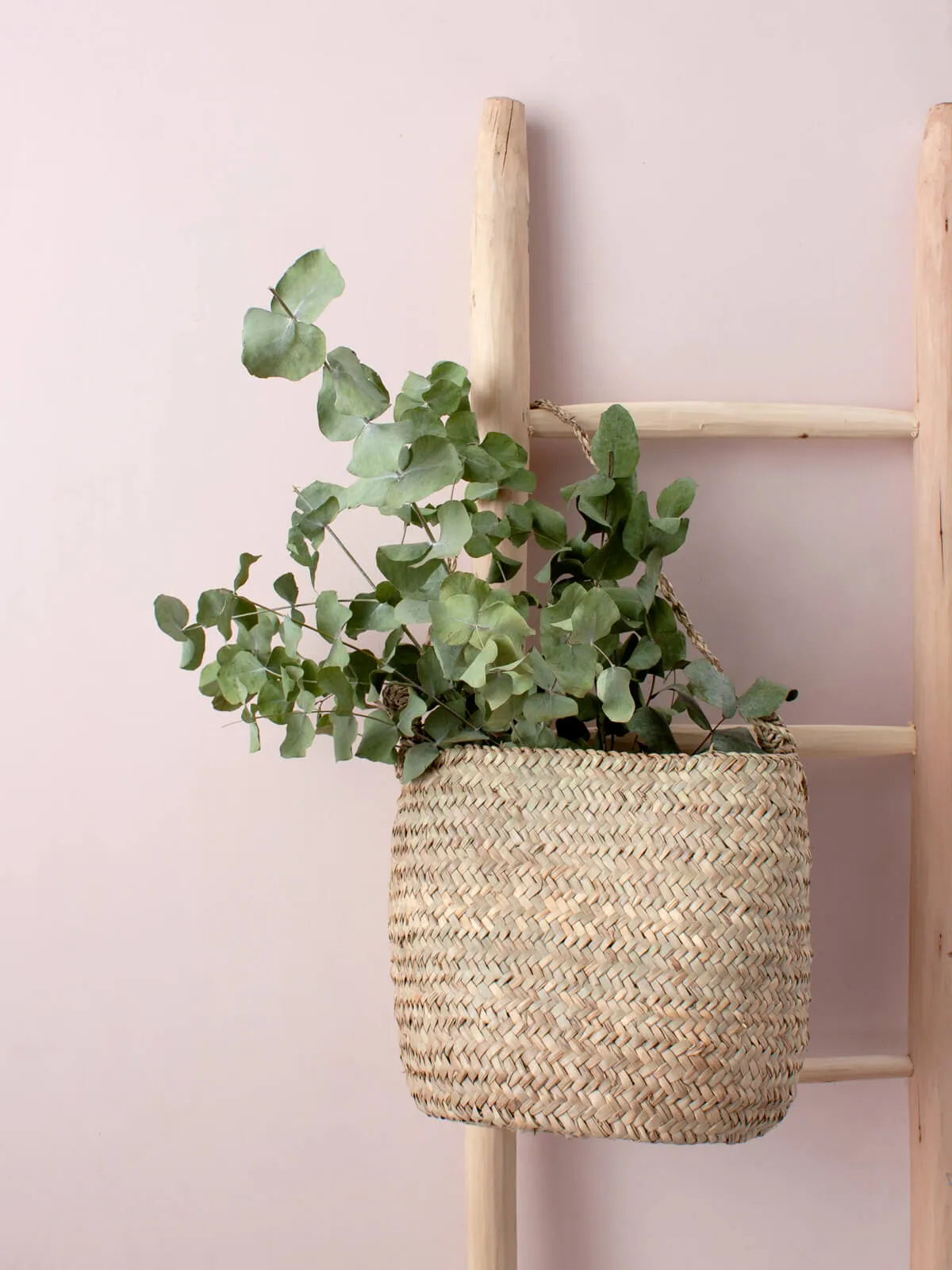 Hanging Beldi Baskets