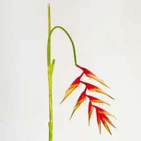 Hanging Heliconia Spray