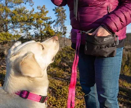 Treat Belt Bag